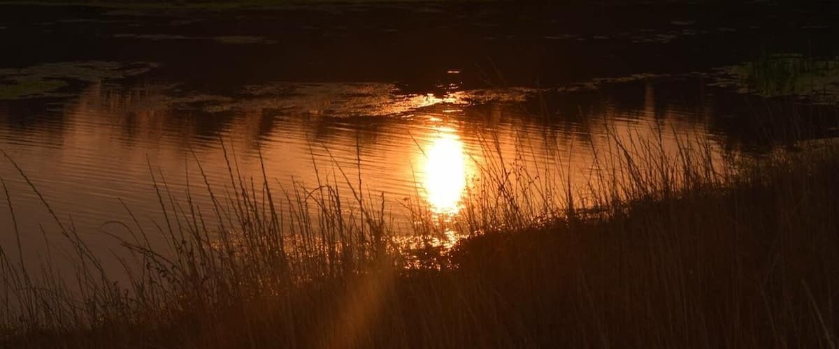 #Reflections