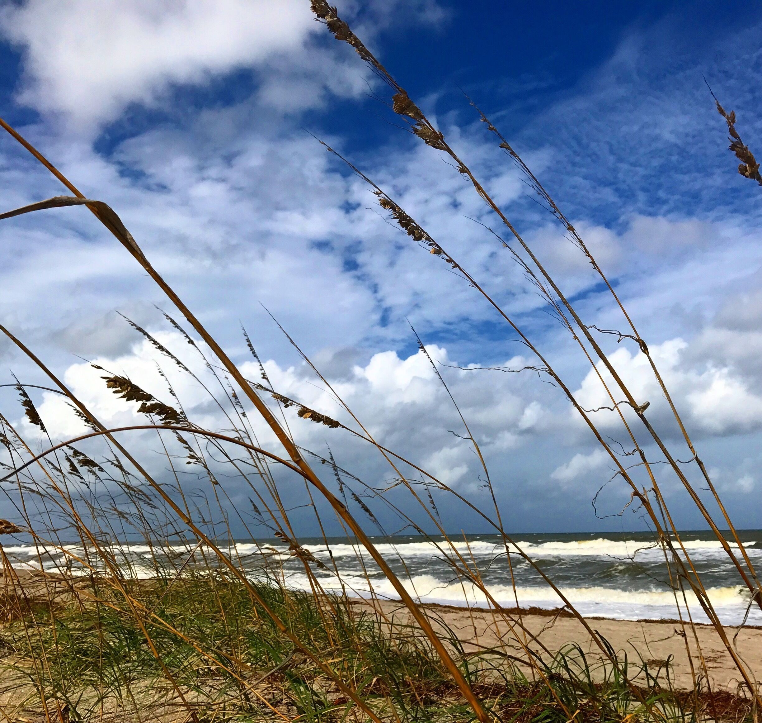 Best way to wait for an oil change. 
