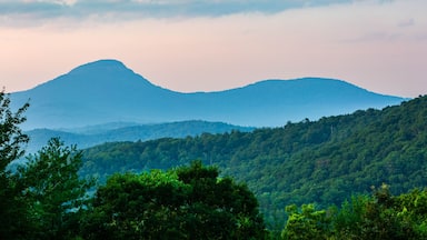 A mountain range with lush green forests in the foreground and a hazy mountain peak in the background.