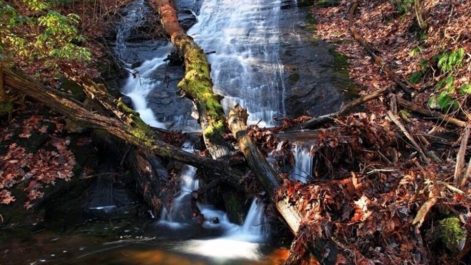 A waterfall in a forested area with a fallen tree in the middle.