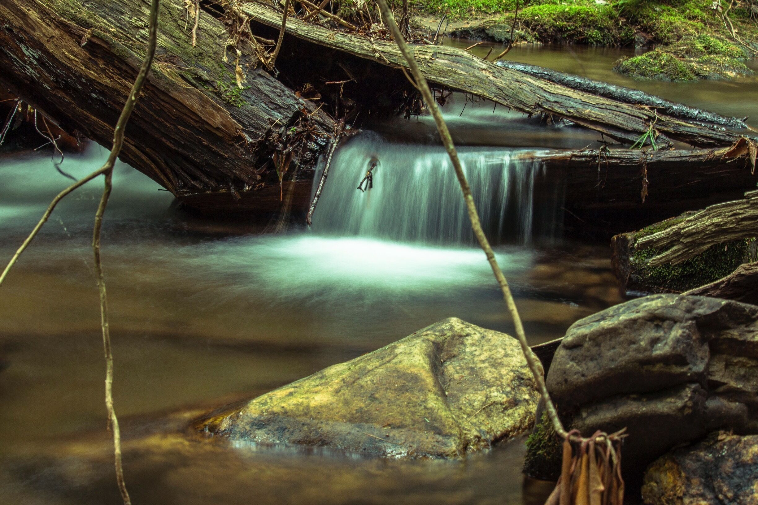 One of the best trails I have ever been!! The moment I stepped in, it was completely dark and cold as it was very dense!! Awesome camping spot.. Camp at your own risk.. I camped just next to the flowing kind of a small water fall.. Awesome treat for hikers.. Beware of black bears!!