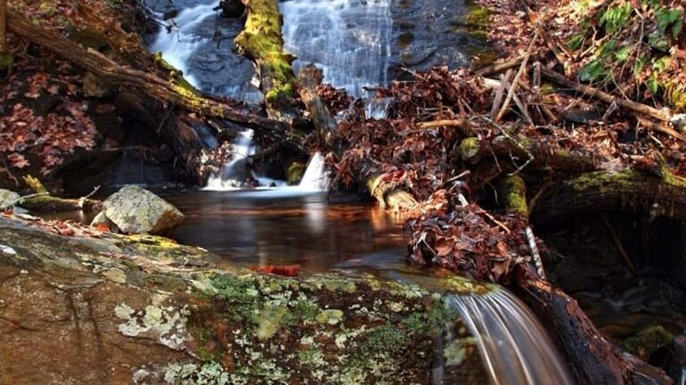 A waterfall cascading over moss-covered rocks in a forested area.