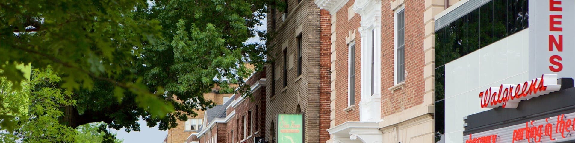 Cleveland Park showing a city, signage and street scenes
