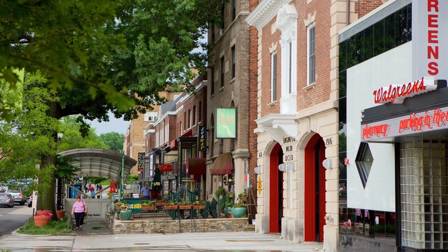 Cleveland Park showing signage, street scenes and a city