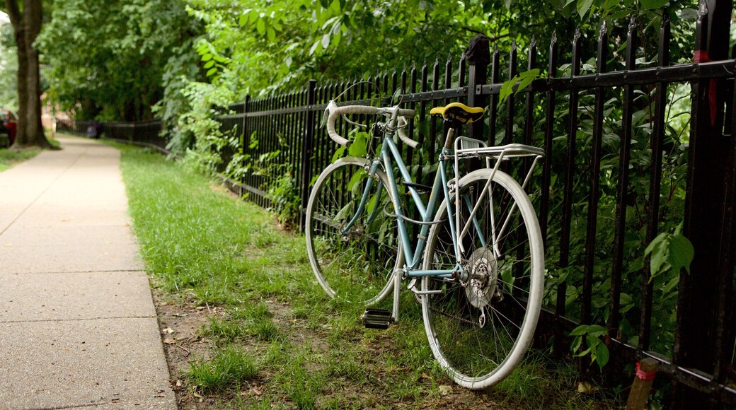 Cleveland Park showing cycling and a park