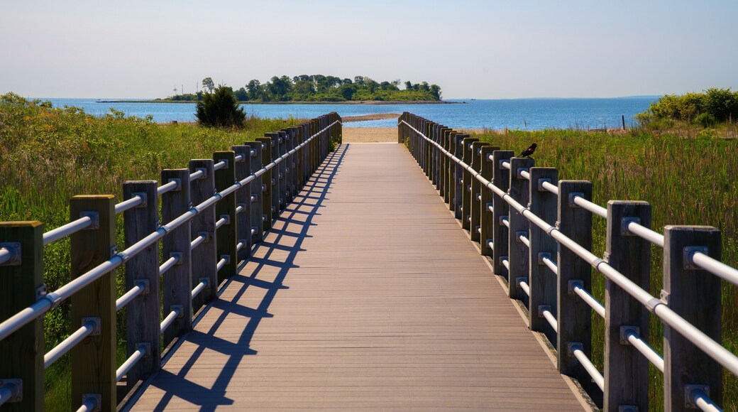 City Meadow Boardwalk