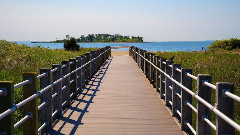 A wooden boardwalk leading to a beach with a bird on the railing.