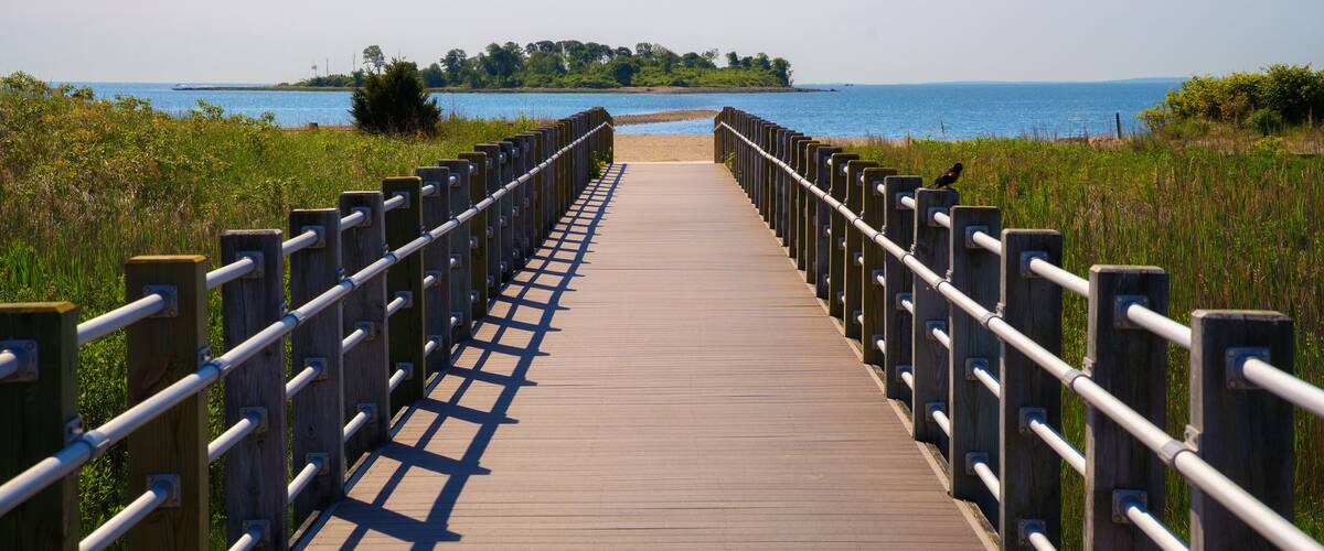 A wooden boardwalk leading to a beach with a bird on the railing.
