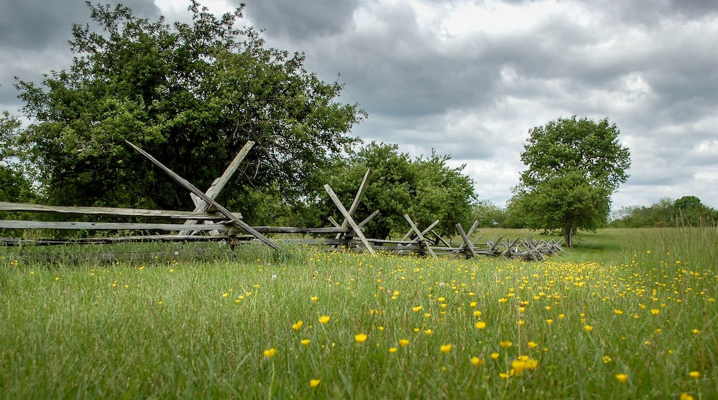 Civil War fence at New Market battlefield in Virginia