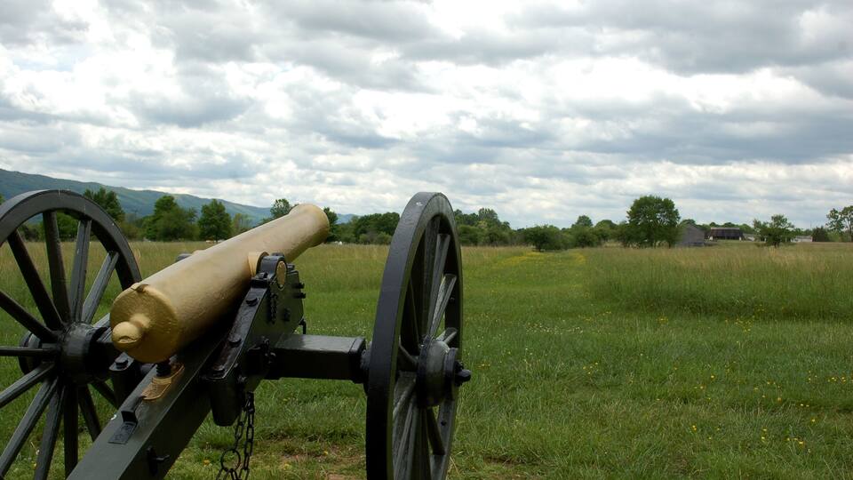 A cannon in a grassy field with mountains in the background.