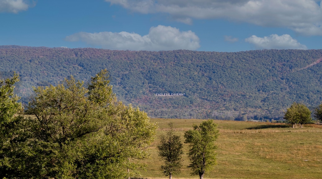 Endless Caverns New Market,Virginia