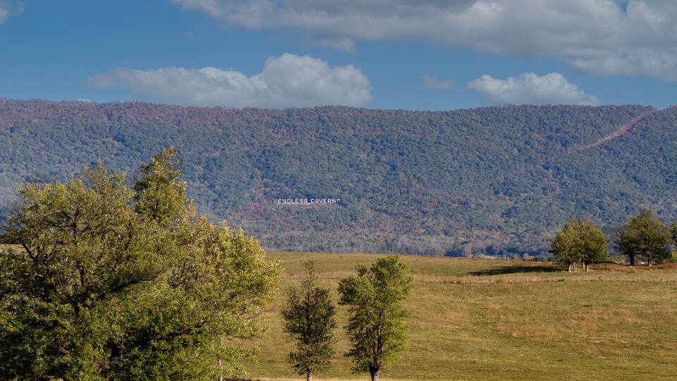 A grassy field with trees and a forested mountain in the background.