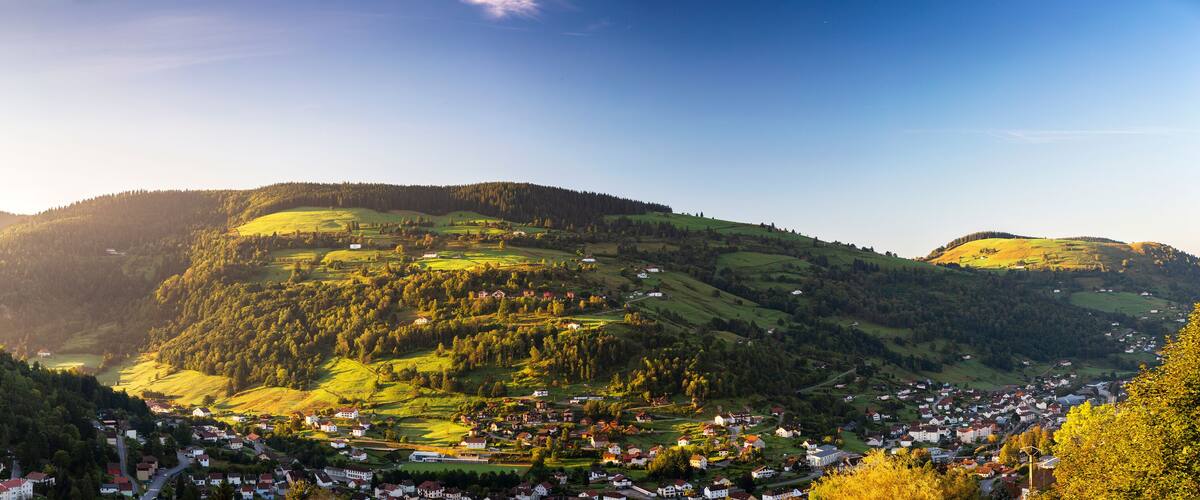 A valley with a small town nestled among rolling hills and dense forests.