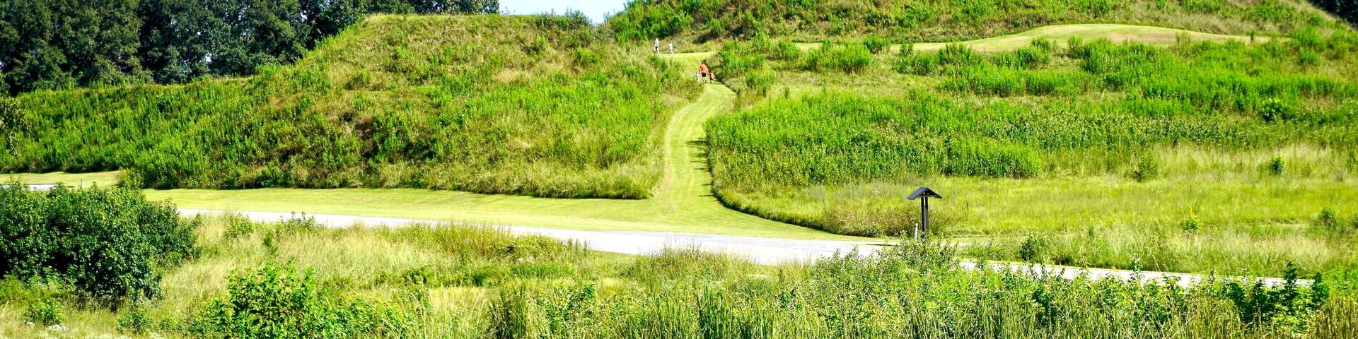 Ocmulgee Mounds National Historical Park in Macon, Georgia, preserves earthworks built before 1000 CE by the South Appalachian Mississippian culture. Great Temple Mound, Lesser Temple Mound and trail