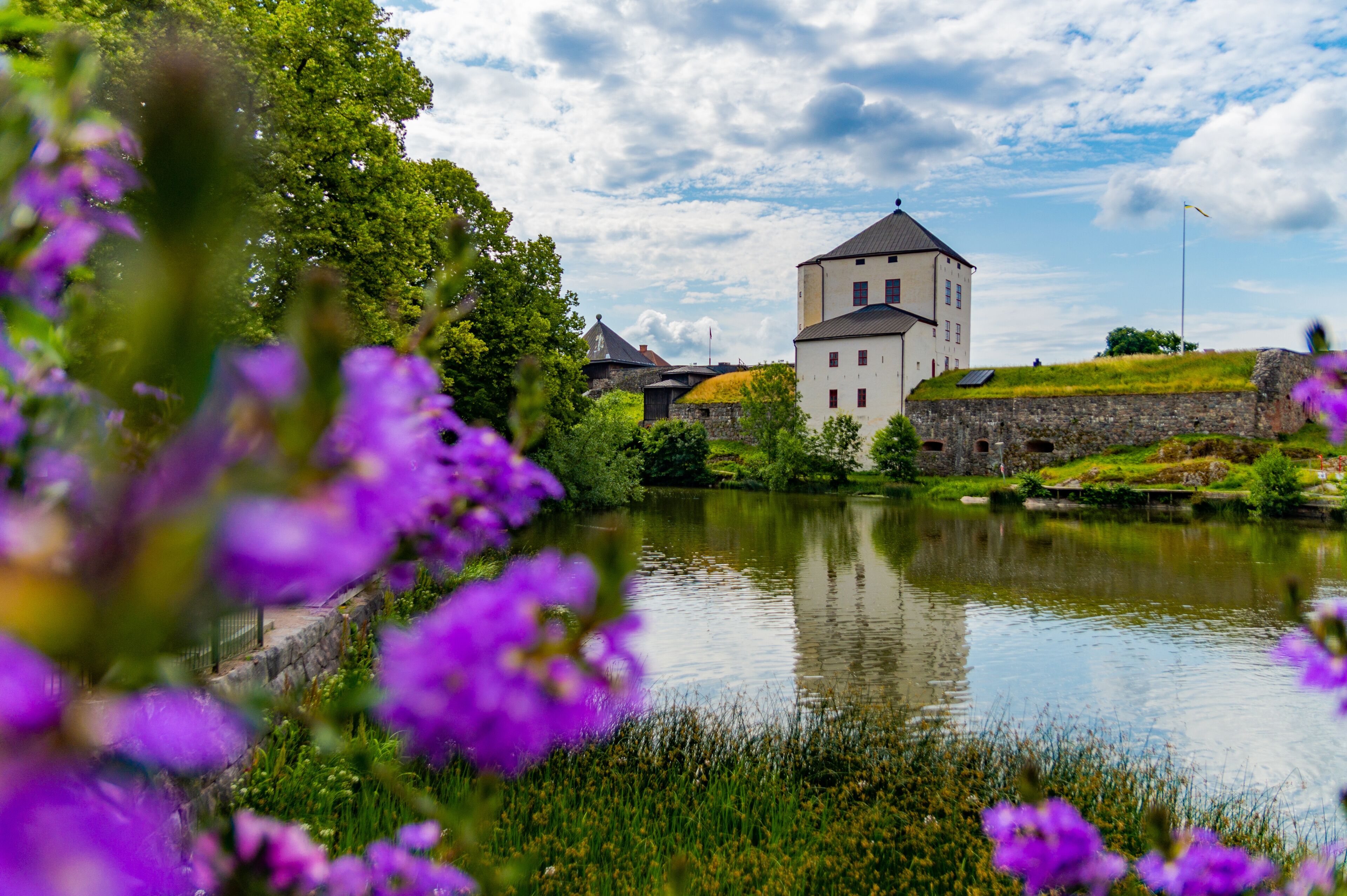 View of Nykoping castle, Sweden over the river with purple flowers in the foreground.