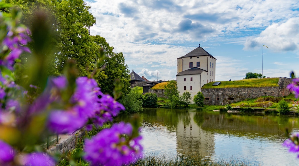 View of Nykoping castle, Sweden over the river with purple flowers in the foreground.