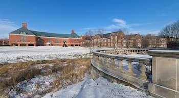 Bardeen Quadrangle and Grainger Engineering Library at the University of Illinois at Urbana-Champaign