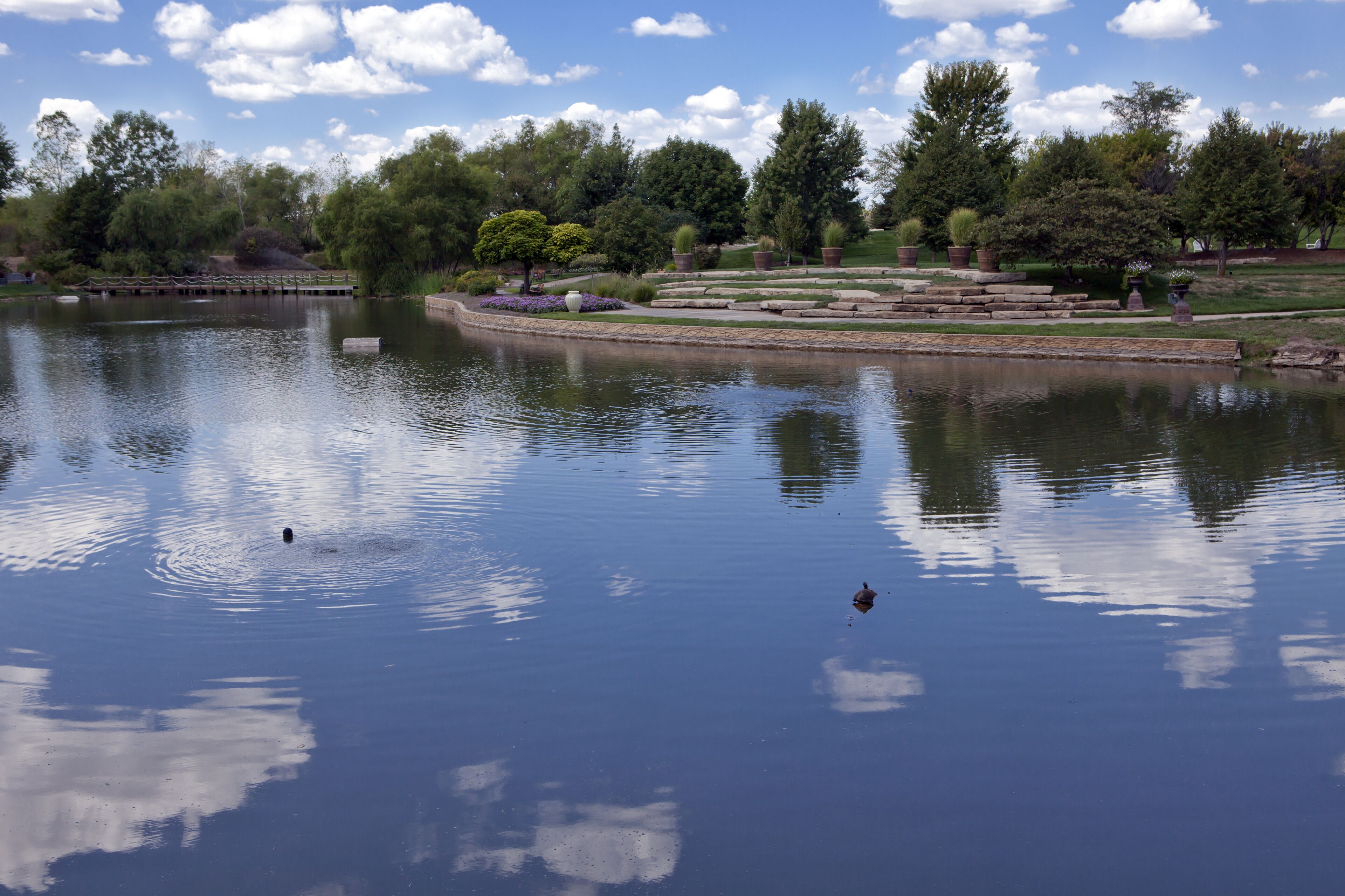 Calm waters in a large pond at the Overland Park (Kansas) Arboretum reflects fair weather cumulus clouds against a blue sky.