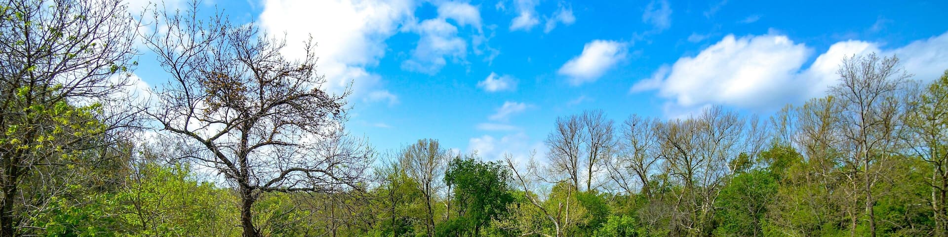 waterfalls on a summer day in the midwest