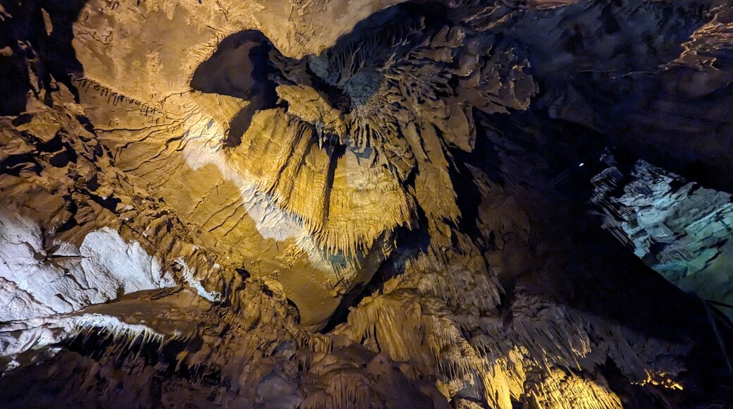 Mammoth Cave National Park Kentucky