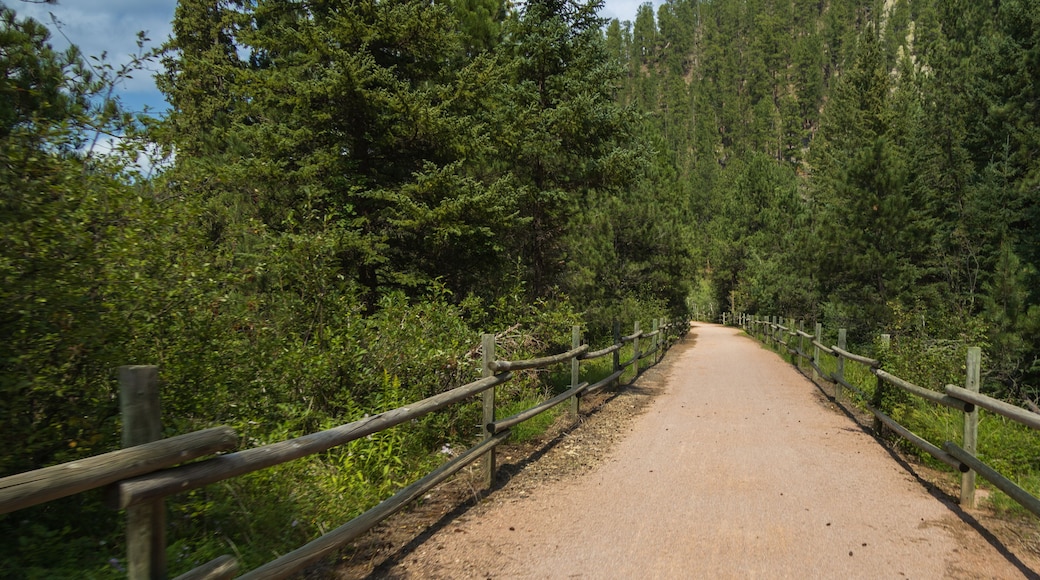 Đường mòn George S. Mickelson