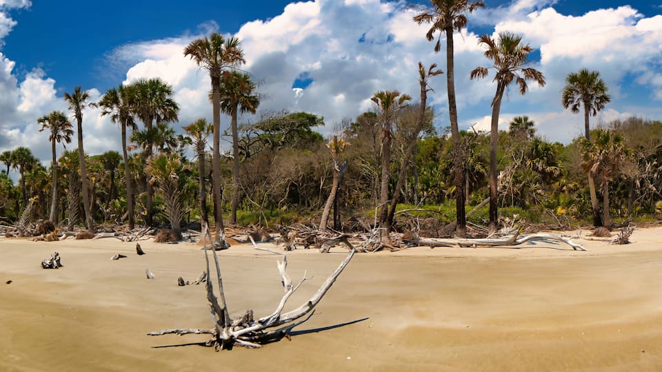 A panoramic view of a pristine undeveloped beach on a barrier island in South Carolina, USA.