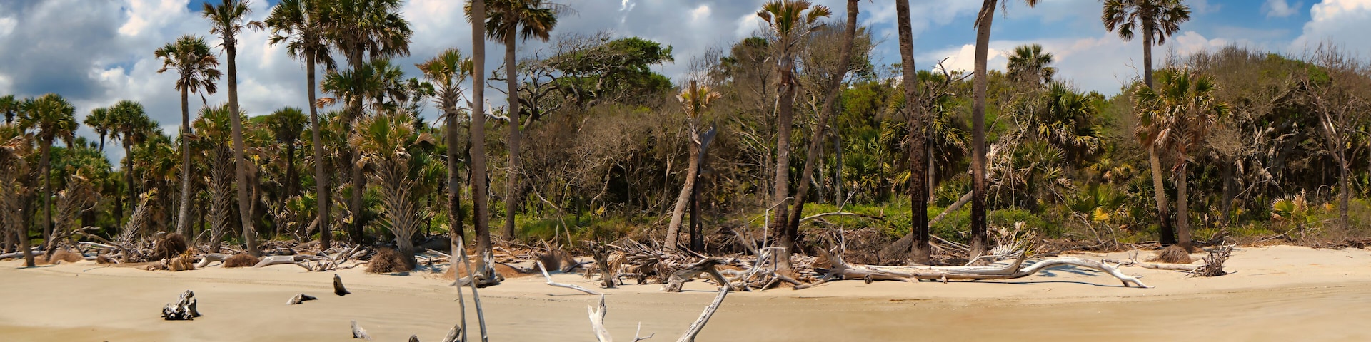 A panoramic view of a pristine undeveloped beach on a barrier island in South Carolina, USA.