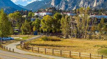 ๋ค์ดํ์ด ์์คํฐ์ค ํํฌ