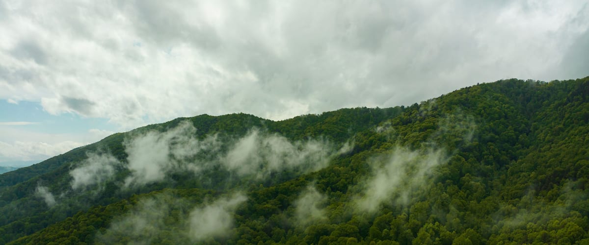 A mountain range with dense forests and clouds.