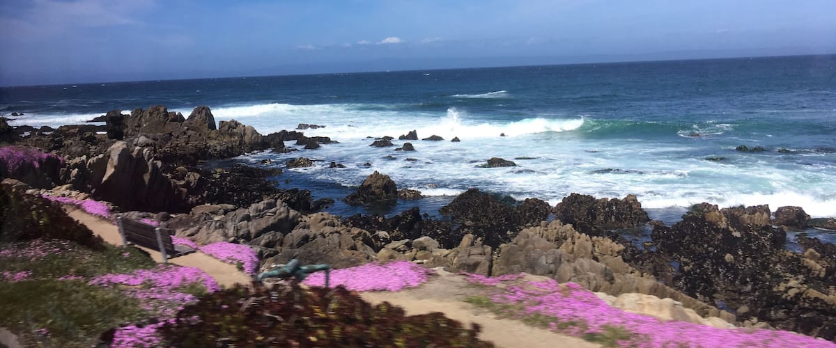 #ontheroad. From the bus as we headed to 17mile drive.