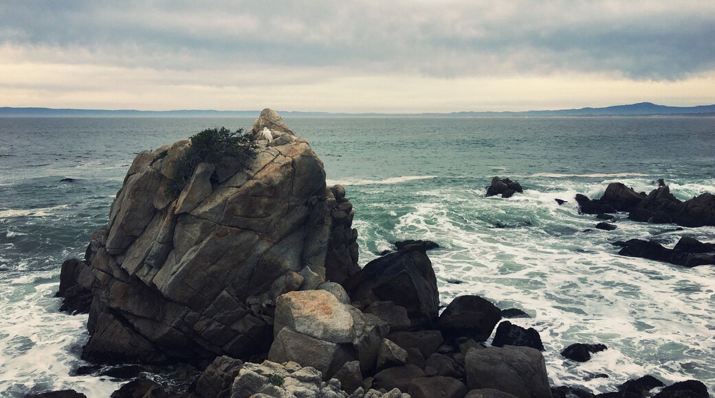 View of Monterey Bay near Lover’s Point Park