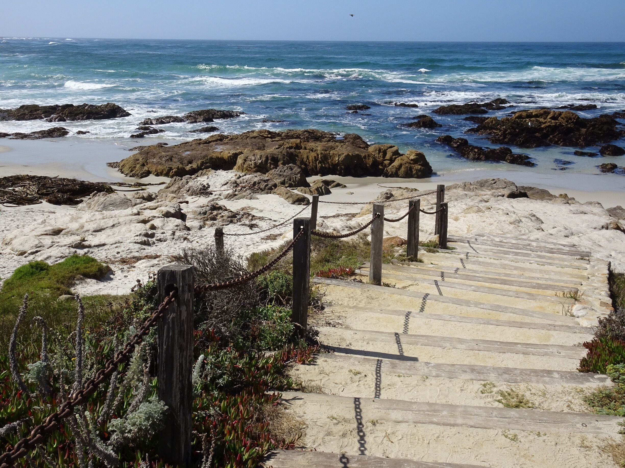 Asiloma beach , California, walk along to Spanish Bay golf course , just as good as pebble Beach, and have lunch on the terrace enjoying the view  but watch the seagulls don’t steal your fried calamari !


