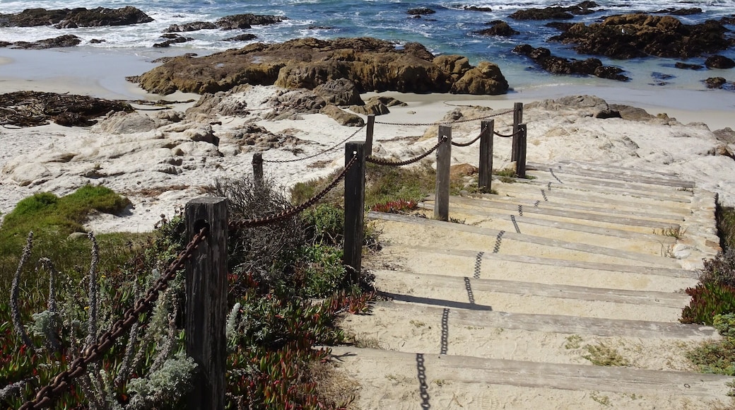 Asiloma beach , California, walk along to Spanish Bay golf course , just as good as pebble Beach, and have lunch on the terrace enjoying the view but watch the seagulls don’t steal your fried calamari !