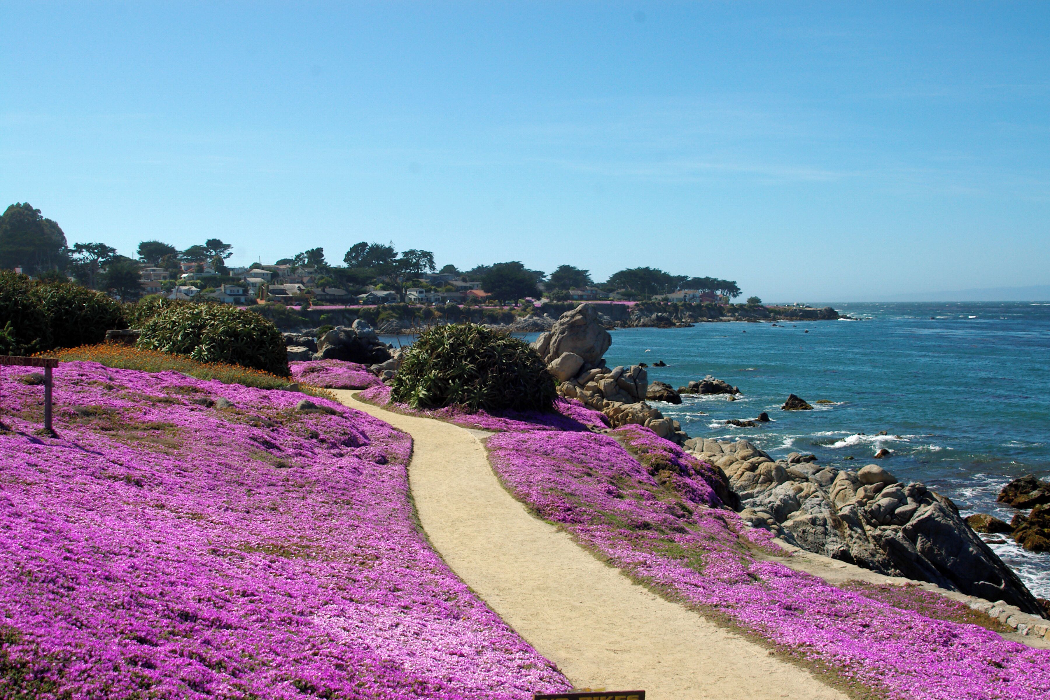 What a place to take a stroll.