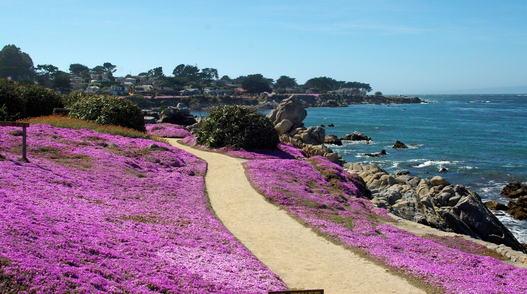 What a place to take a stroll.