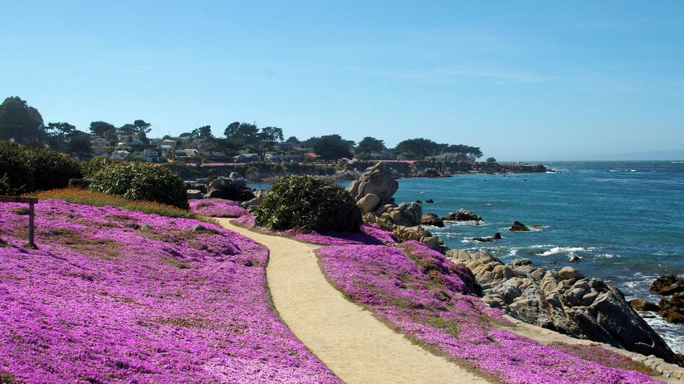 What a place to take a stroll.