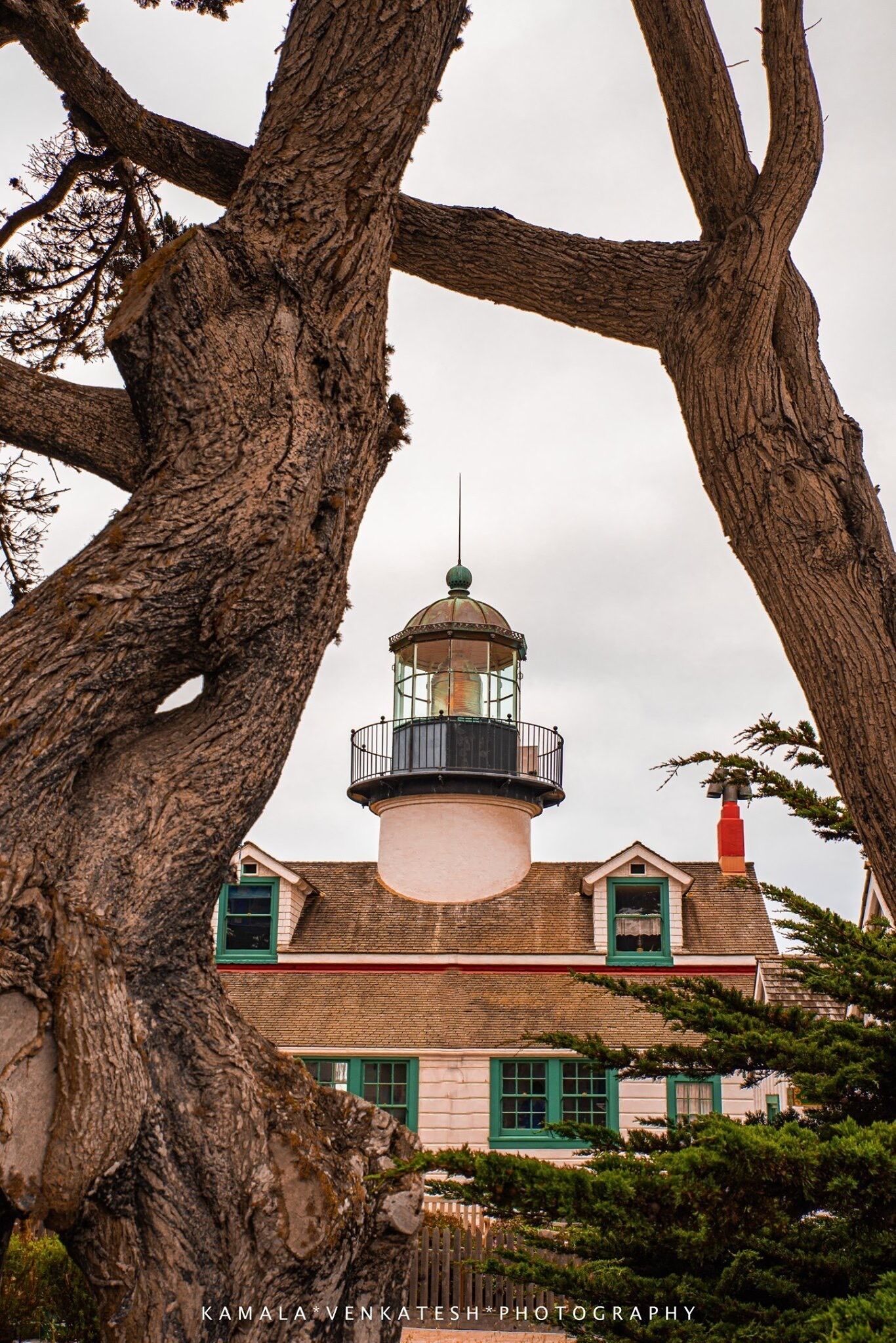 A lighthouse with a white tower and green windows, surrounded by large trees.