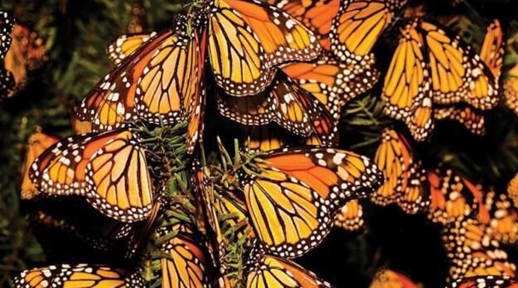 A must visit in fall/winter.