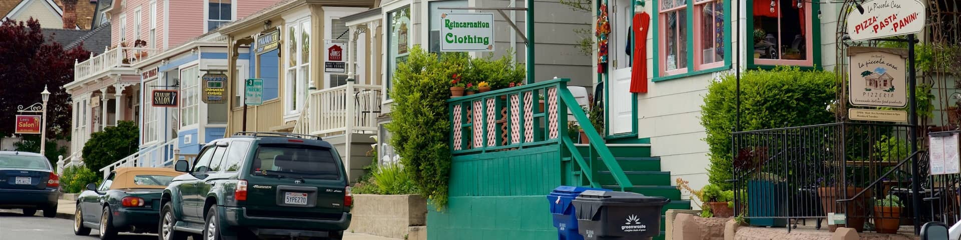 Pacific Grove which includes shopping