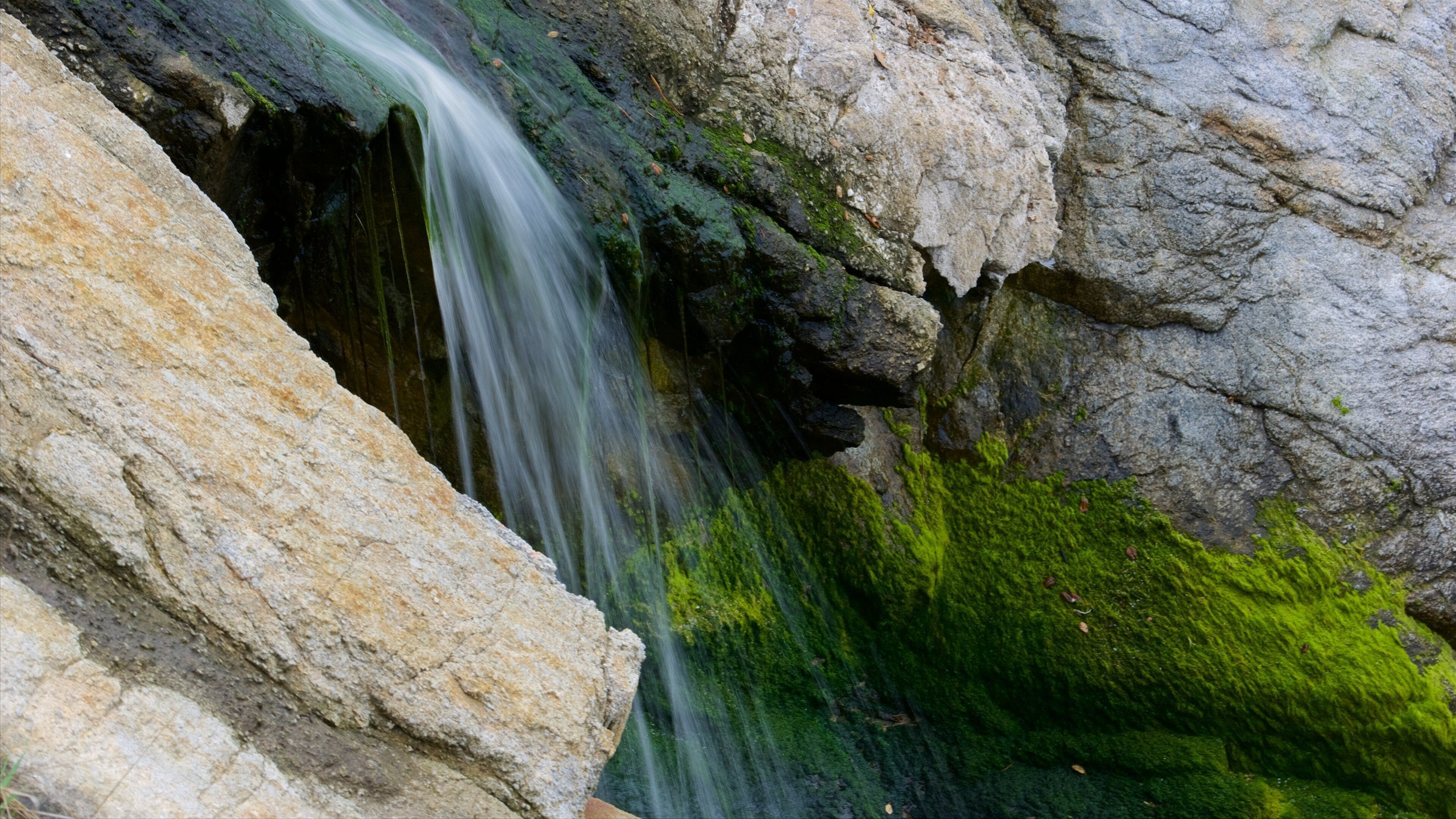 Pacific Grove featuring a cascade