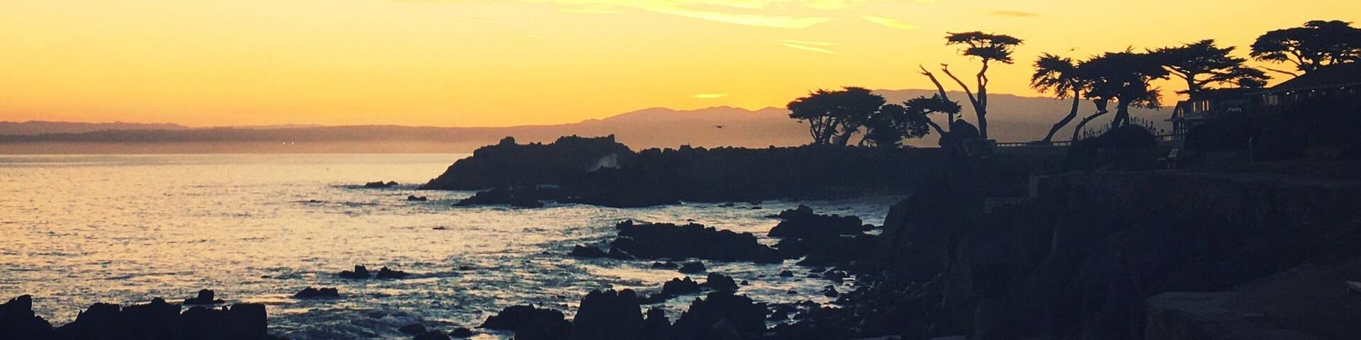 A coastal sunset with rocky shores and silhouetted trees.
