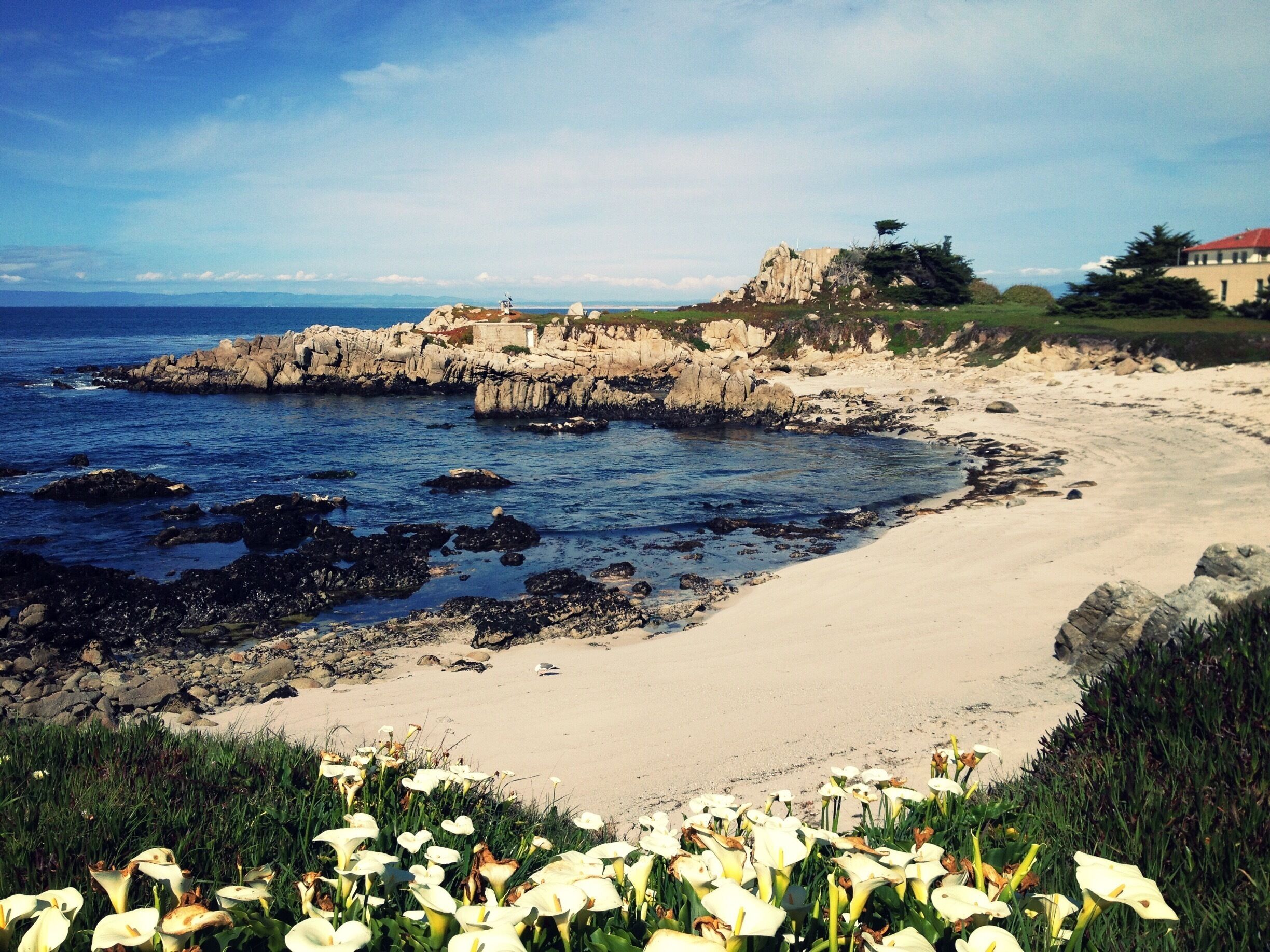 Looking towards Hopkins Marine Station from the Monterey Peninsula Recreational Trail