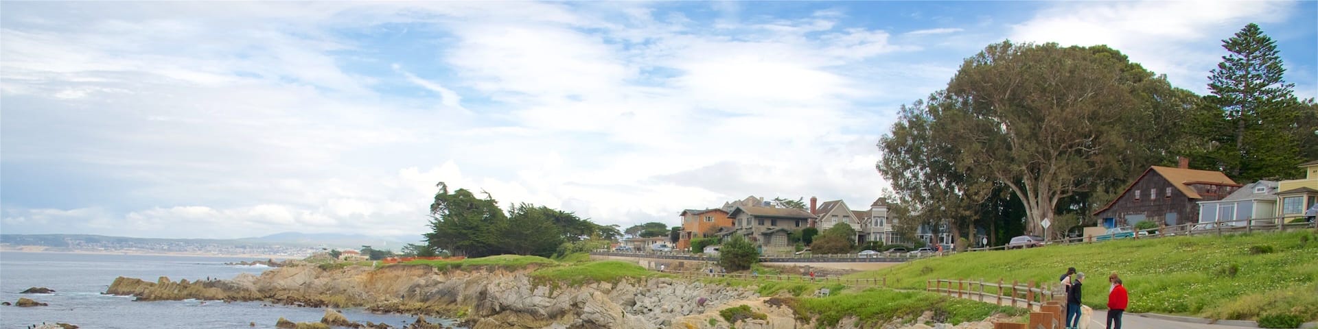 Pacific Grove which includes rocky coastline