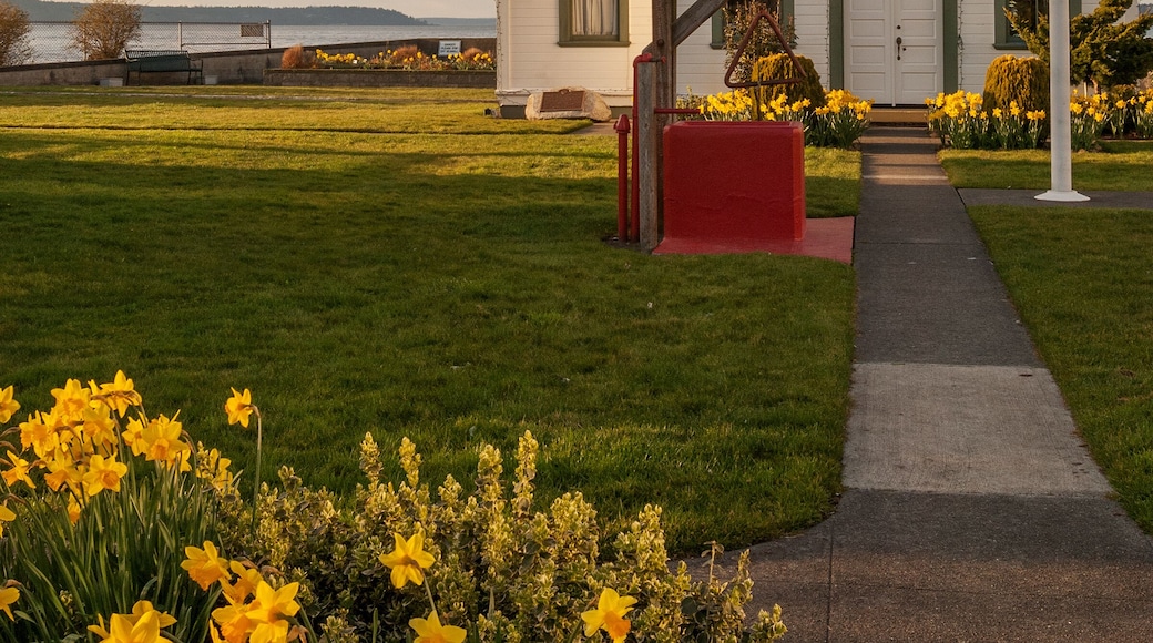 Beautiful Washington lighthouse with daffodils in spring