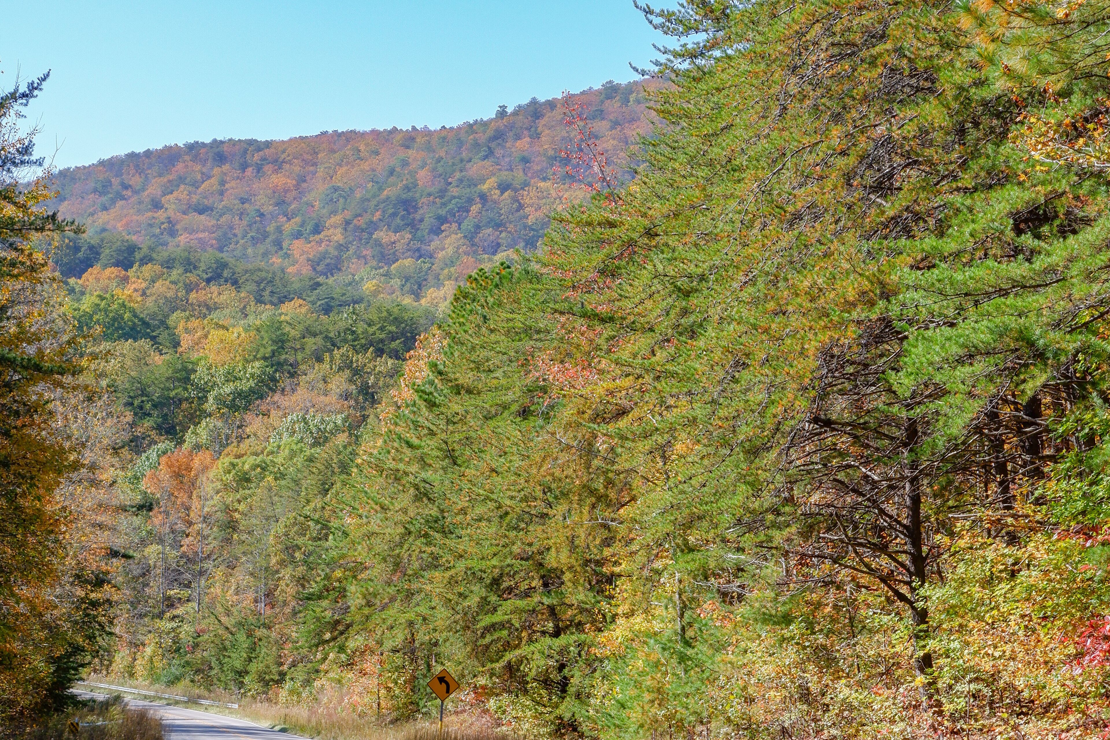 The beginning of fall colors on Cheaha Mountain in Alabama