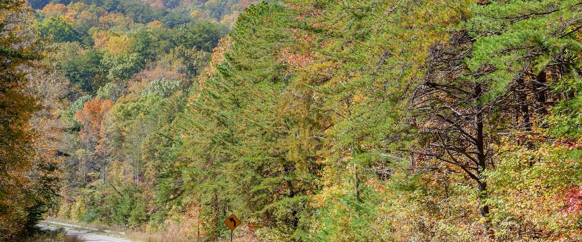 The beginning of fall colors on Cheaha Mountain in Alabama