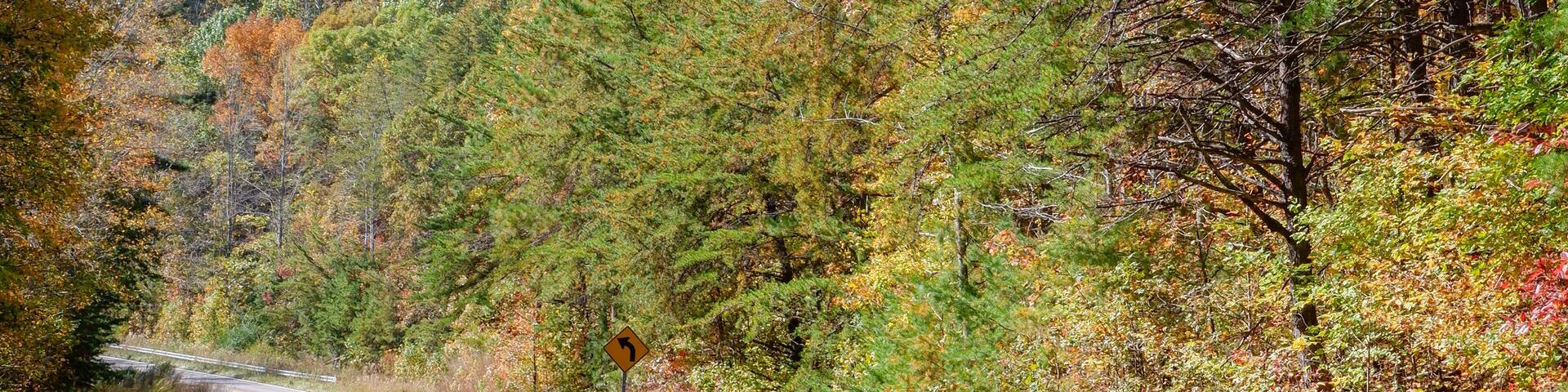 The beginning of fall colors on Cheaha Mountain in Alabama