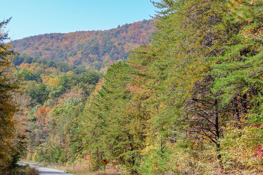 The beginning of fall colors on Cheaha Mountain in Alabama