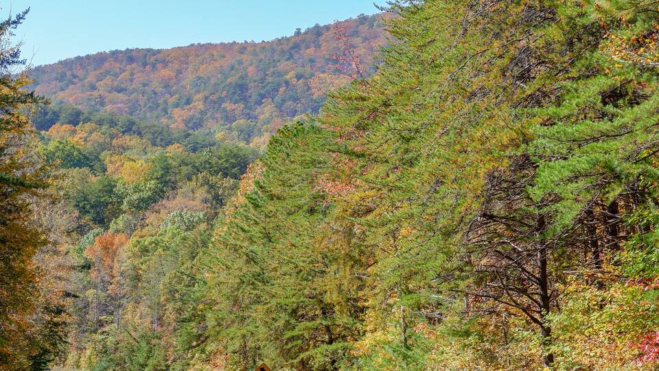 The beginning of fall colors on Cheaha Mountain in Alabama