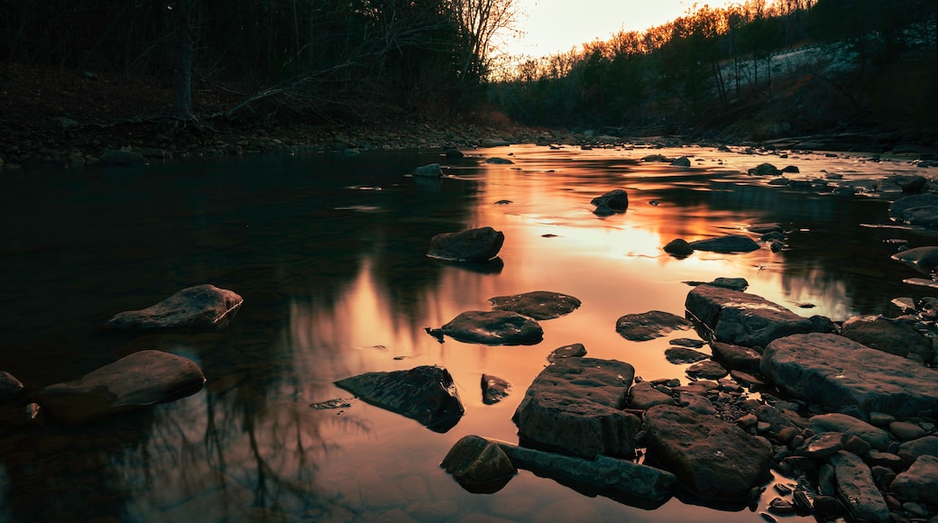 A river with rocks and trees at sunset.